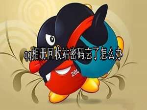 关于qq相册回收站密码忘了如何解决。