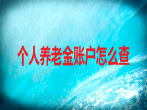 关于如何用贵阳人社通查看养老金账户。