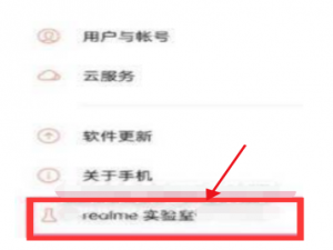 关于realme真我GT大师版在哪里打开DC调光功能。