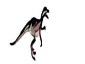 关于Raptor计算已知半径r的圆面积的方法步骤 关于怎么说话