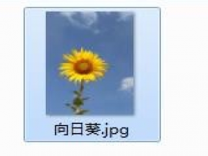 关于如何用画图工具制作圆形的头像