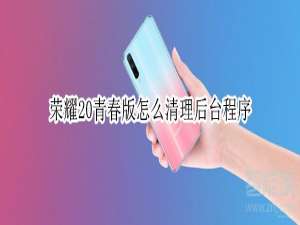 关于荣耀20青春版如何清理后台程序。