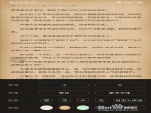 关于如何设置小说字体大小。