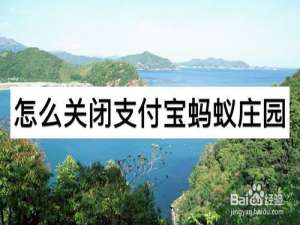 关于如何关闭支付宝蚂蚁庄园。