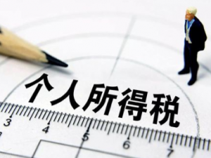 关于如何查个人所得税纳税明细。