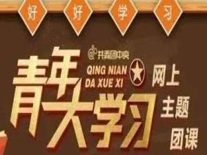 关于青年大学习第八季第四期大学习标准答案。