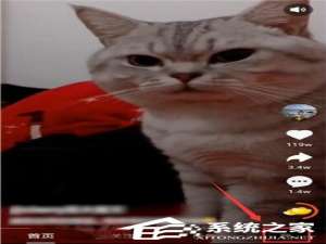 关于刷宝短视频怎么邀请好友