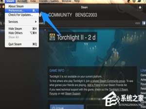 关于Steam游戏平台怎么设置中文