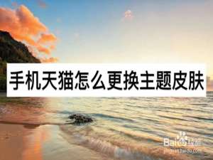 关于手机天猫如何更换主题皮肤。
