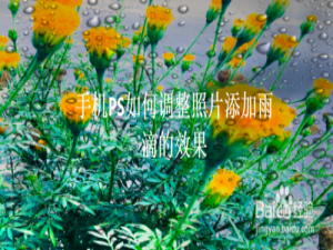 关于手机PS怎么调整照片添加雨滴效果。