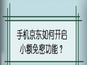 关于手机京东小额免密功能怎么开启。