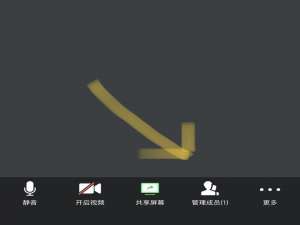 关于腾讯会议老师如何点名。