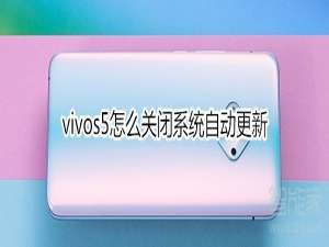 关于vivos5如何关闭系统自动更新。