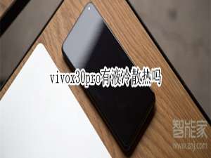关于vivox30pro有没有液冷散热。