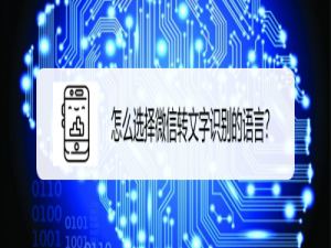 关于微信语音转文字如何选择识别语言。