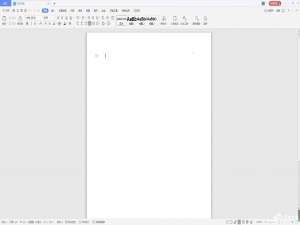 关于wps中怎么插入十字箭头
