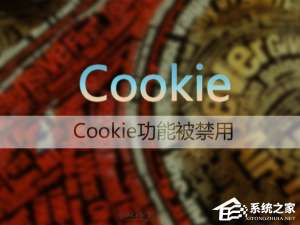 关于Win7系统如何启用浏览器的cookie功能