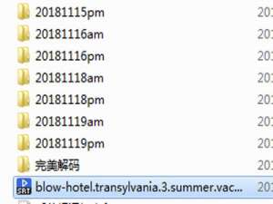 关于完美解码怎么加字幕