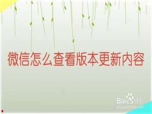 关于微信如何查看版本更新内容。