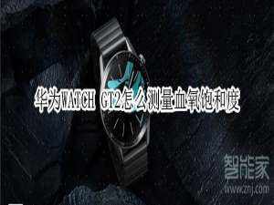 关于WATCH GT2如何测量血氧饱和度。