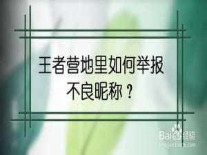 关于王者营地里怎么举报不良昵称。