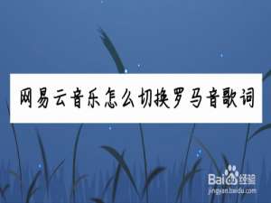 关于网易云音乐歌词怎么显示罗马音。