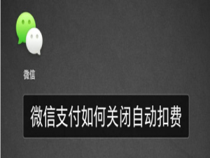 关于微信支付怎么关闭自动扣费。