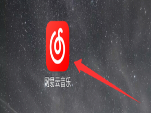 关于网易云音乐个性化服务怎么禁用。