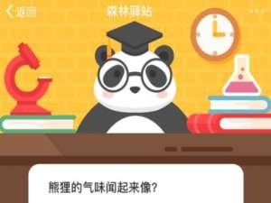 关于熊狸的气味闻起来像。