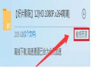 关于迅雷无法加速敏感资源怎么办。