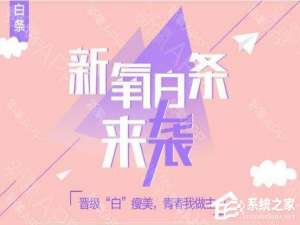 关于新氧白条如何使用