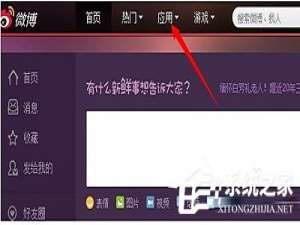关于新浪微博怎么刷粉丝