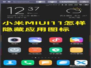 关于小米MIUI11如何隐藏应用图标。