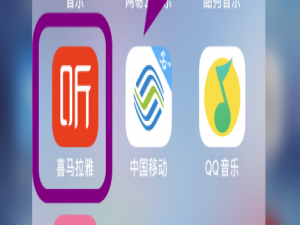 关于喜马拉雅个性化服务怎么关。