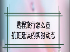 关于携程旅行怎么查看航班延误信息。