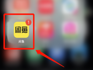 关于闲鱼怎么联系客服。