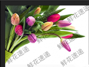 关于用PS完美去除图片上的连续水印