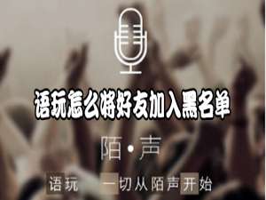 关于语玩怎么设置黑名单。