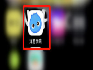 关于洋葱学院怎么联系在线客服。