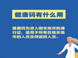 关于支付宝健康码怎么申请两个。