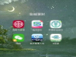 关于智慧人社通如何查个人信息。