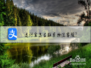 关于支付宝在什么地方联系物流客服。