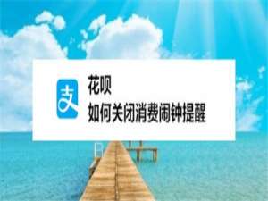 关于支付宝花呗如何关掉消费闹钟提醒。