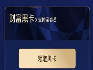 关于支付宝财富黑卡怎么得。