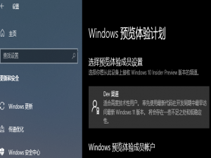关于怎么获取Win11预览版内测（Win11预览版怎么下载）