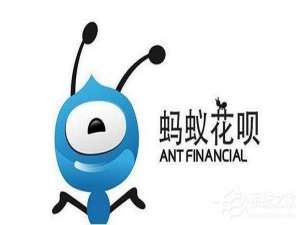 关于支付宝延期还款如何用