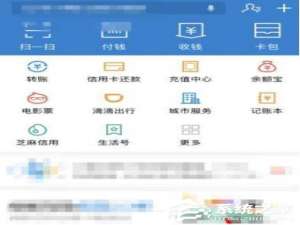 关于支付宝如何成为钻石会员