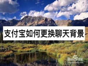 关于支付宝怎么换聊天背景。