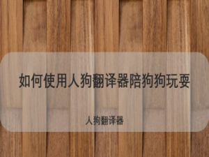 关于怎么使用人狗翻译器陪狗狗玩耍。