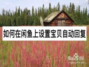 关于怎么在闲鱼上设置宝贝自动回复。